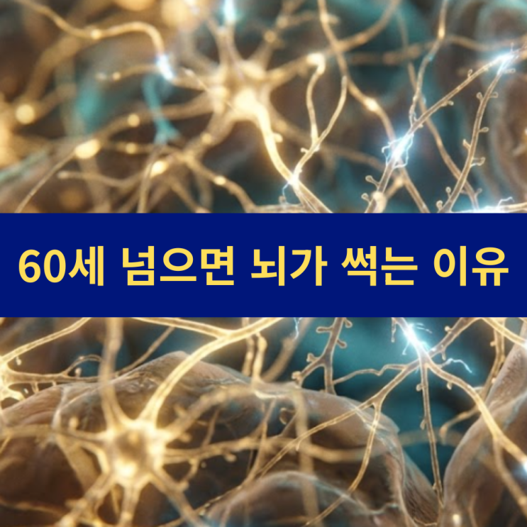  60세 넘으면 뇌가 썩는 이유와 개선 방법 | 60세 이후 뇌 노화의 과학적 원인과 회춘 전략