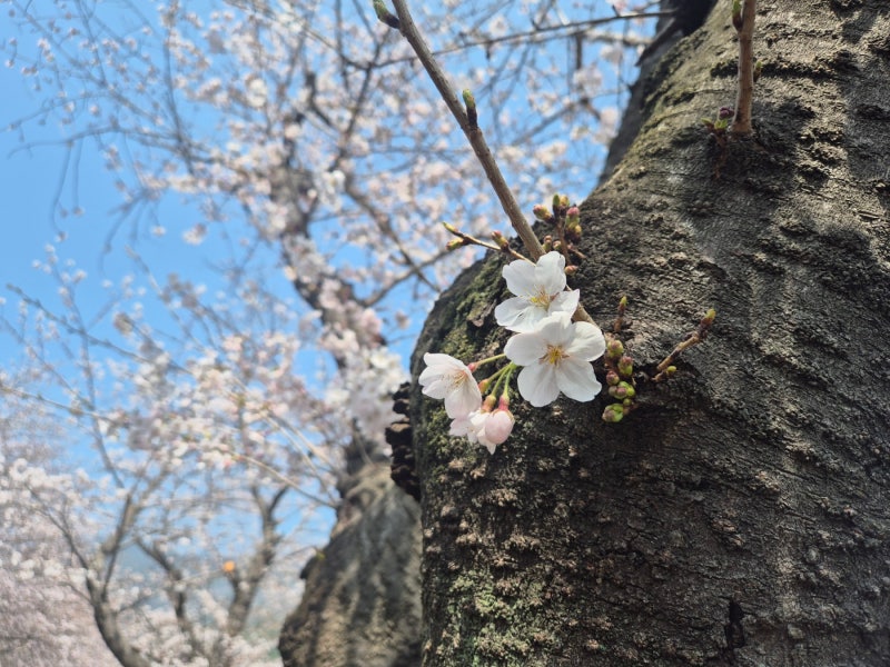 사진 4