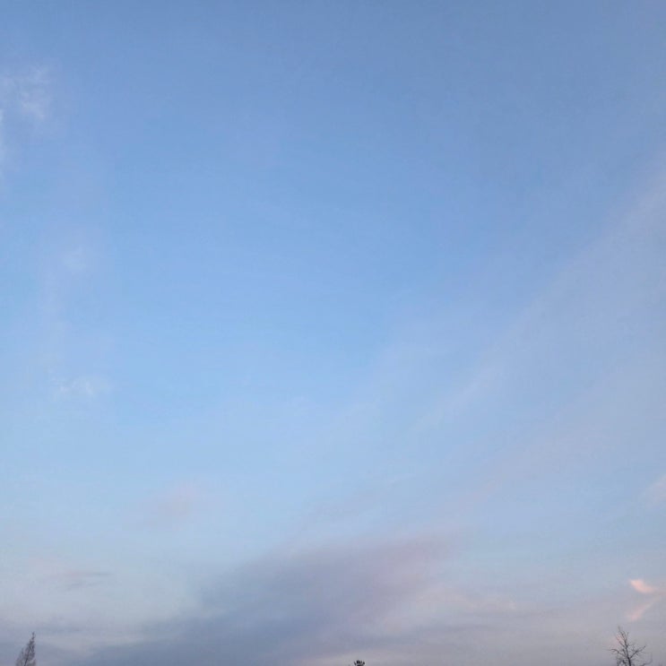  일상 하늘 봄 꽃 무보정 사진 day_528
