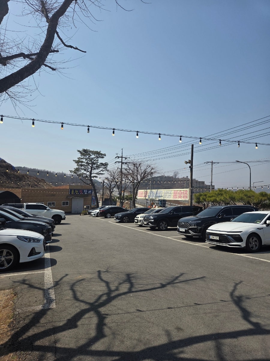 풍천뻘장어 사진 1