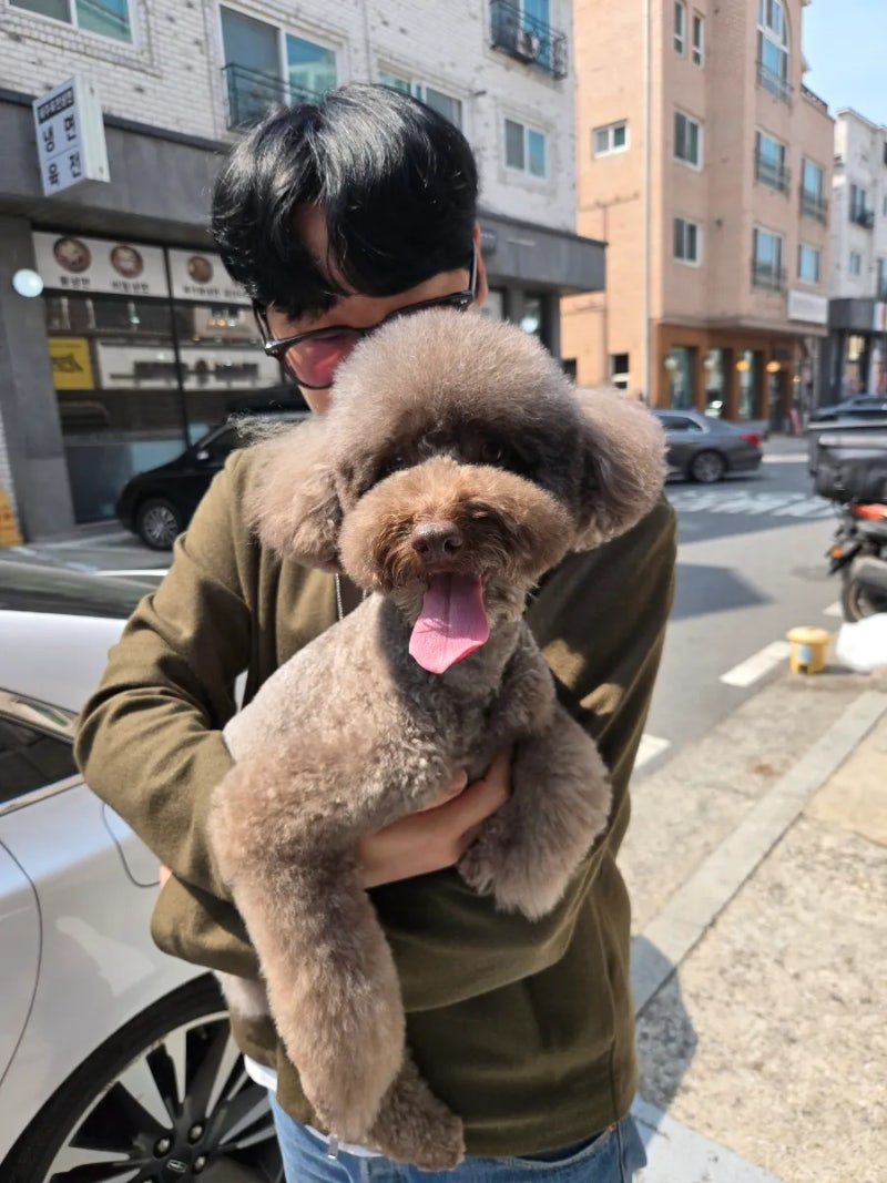 사진 10