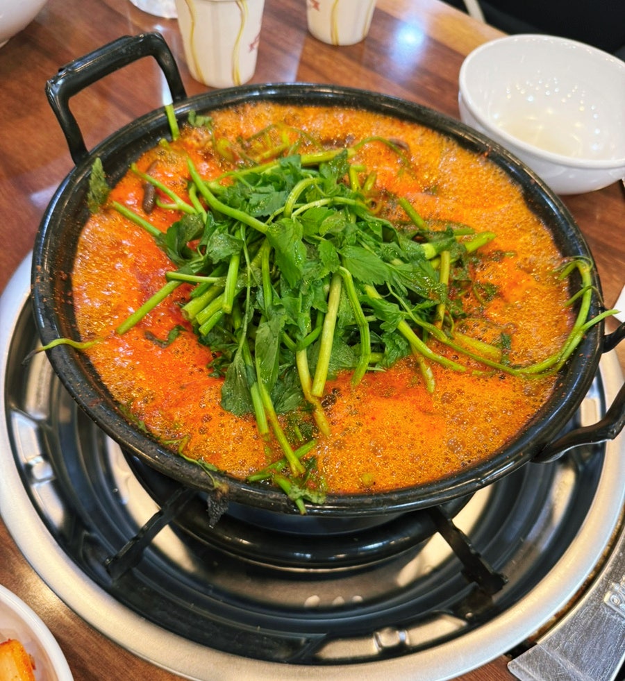 등촌샤브칼국수 장안점 사진 2