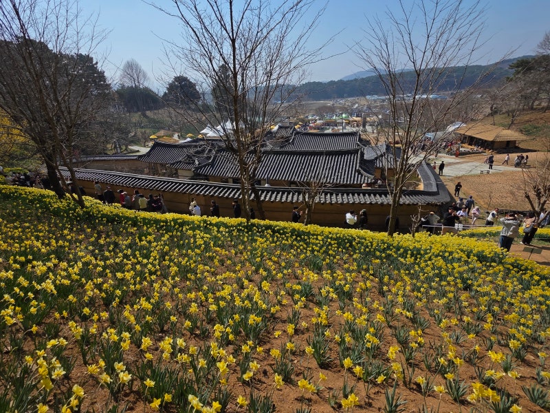 사진 4