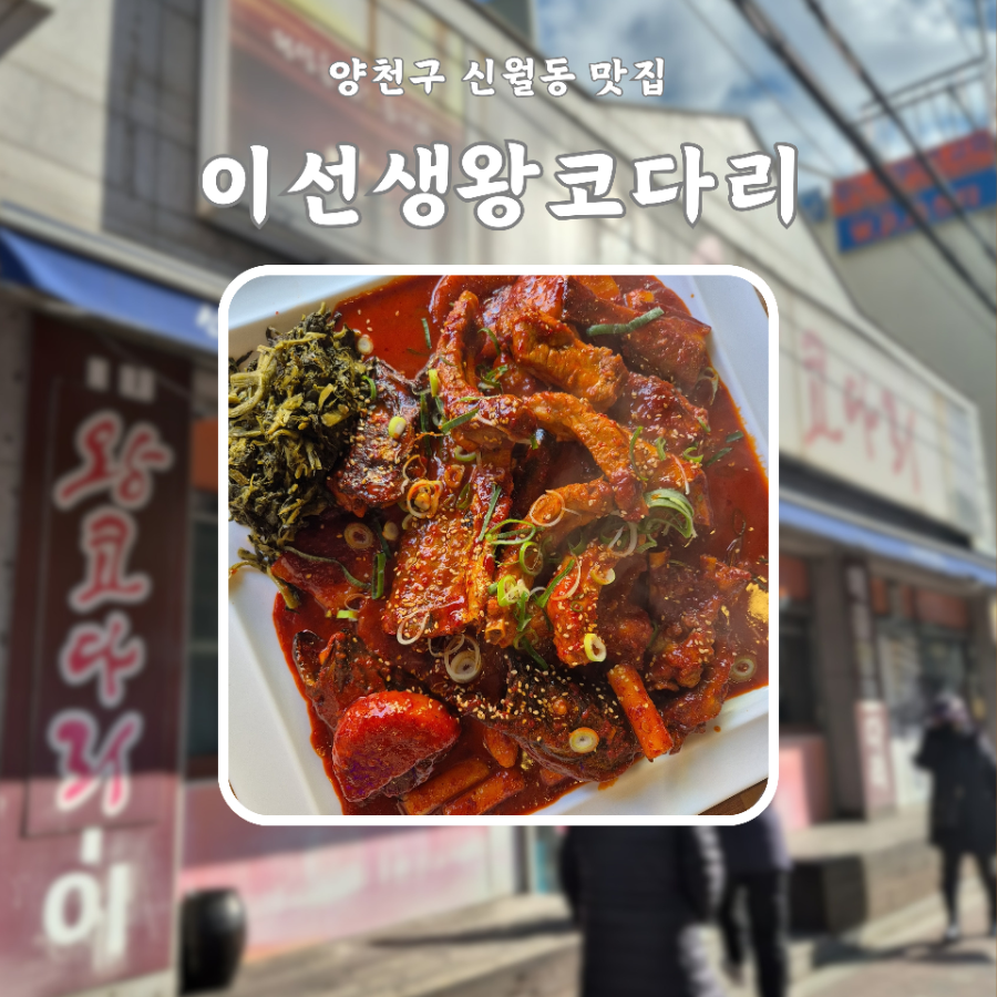 이선생 왕코다리 사진 1