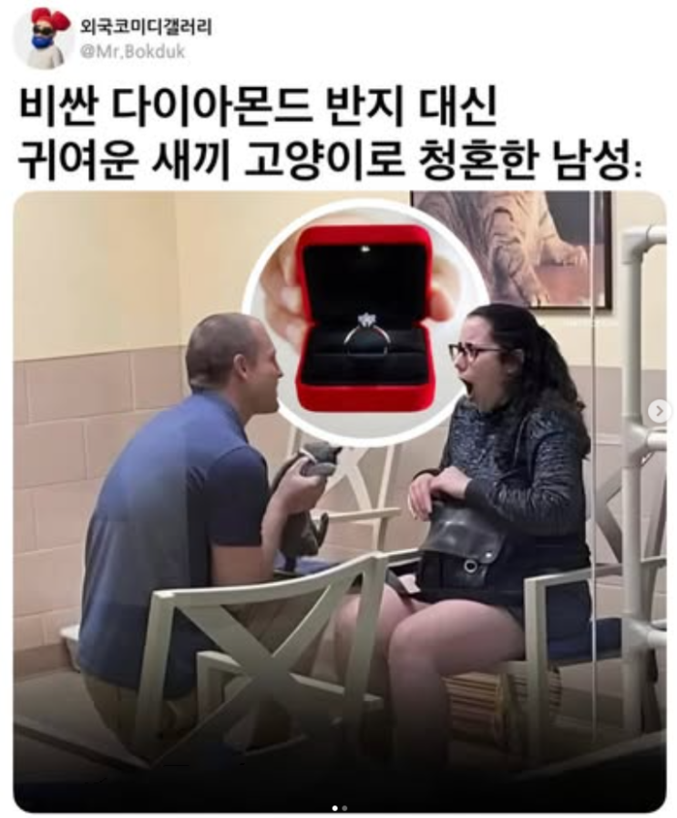  세상에서 가장 특별한 프로포즈
