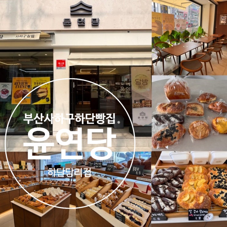  부산 사하구 하단 빵맛집 윤연당 하단당리점 사하구청 베이커리카페 맛있는 빵 추천 & 맛 후기 (+ 빵 종류, 분위기, 주차, 적립 & 할인정보 등)