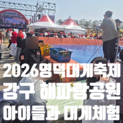 2026 영덕대게축제 강구 해파랑공원 대게낚시 대게통발끌기 게잡이 영덕 가족 여행 주말 가족....