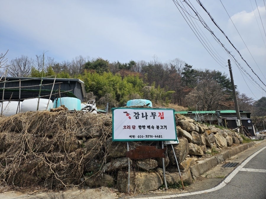 감나무집 사진 1