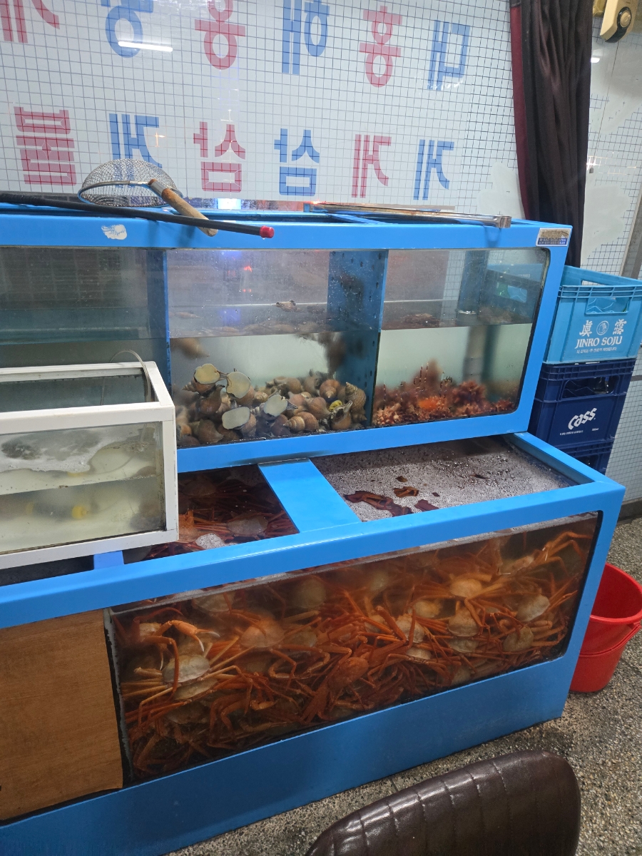 미향해물 사진 2