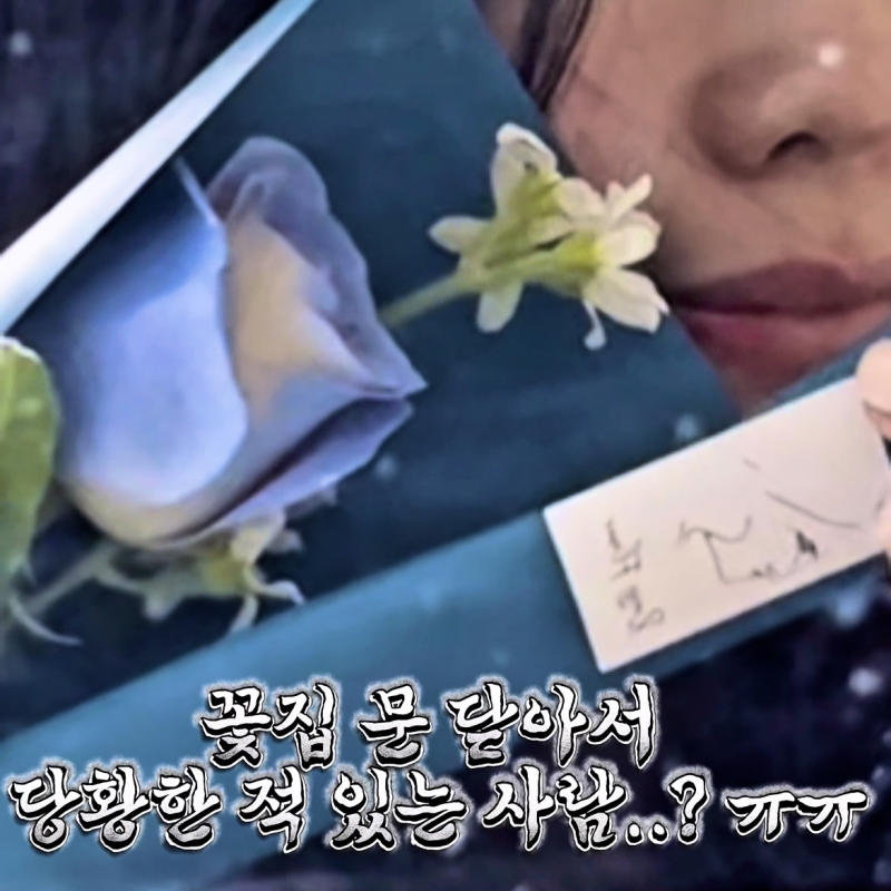 리리스 컬러장미 한송이 꽃다발 예약 후기｜생화택배로 감성 로즈데이 기념일 생일 꽃 선물 ....