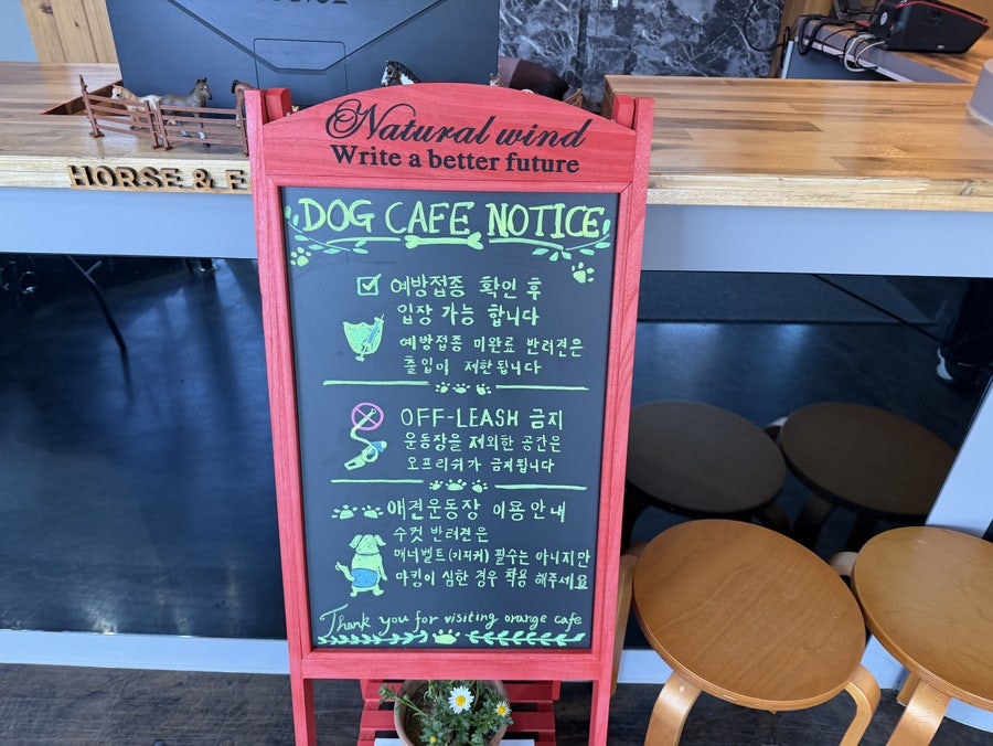 오렌지카페 사진 6