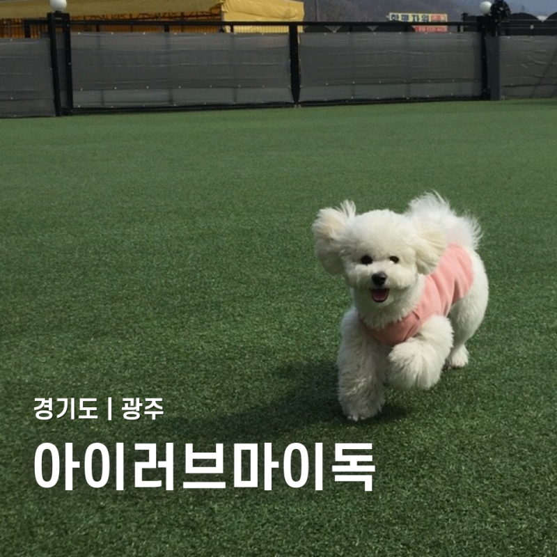 사진 3
