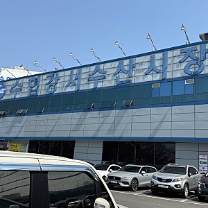 강서수산시장 알 쭈꾸미, 새조개 가격(+시세), 포장 고흥수산에서