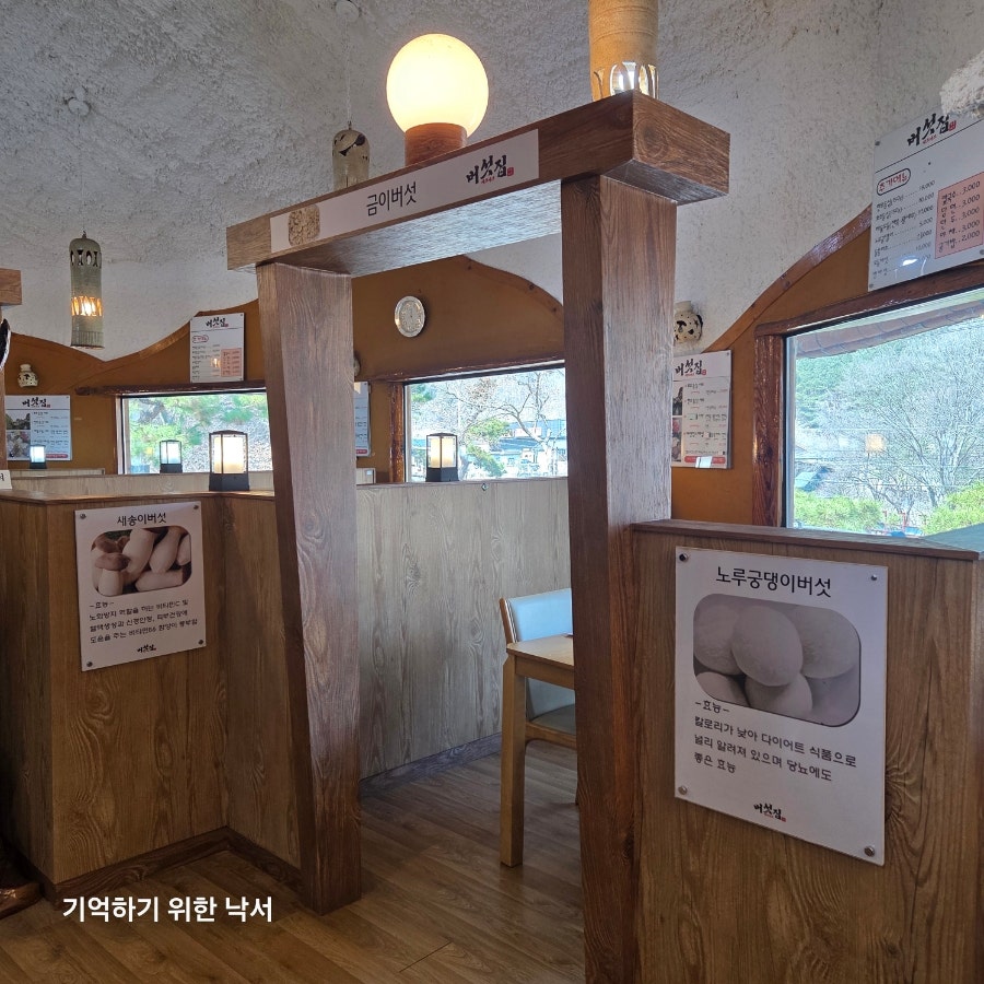 버섯집 사진 4