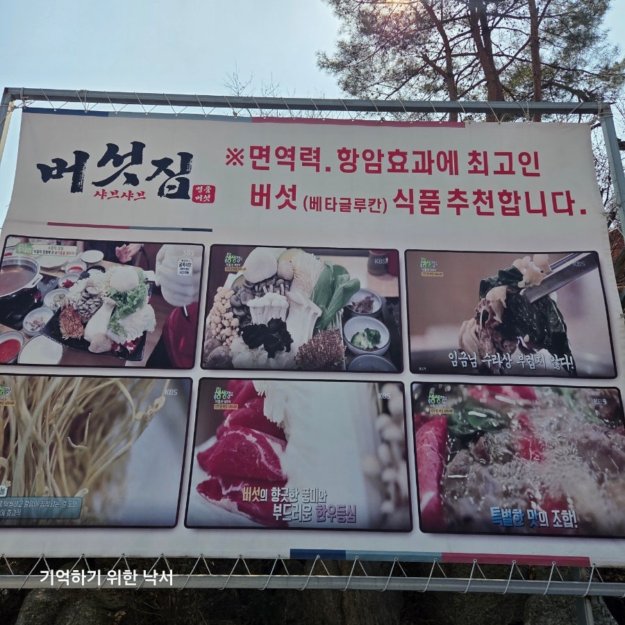 버섯집 사진 2