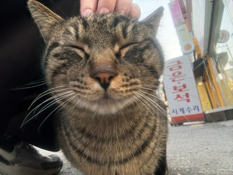 3월의 표어: 내가 좋아하는 것들로 가득 채울게요!