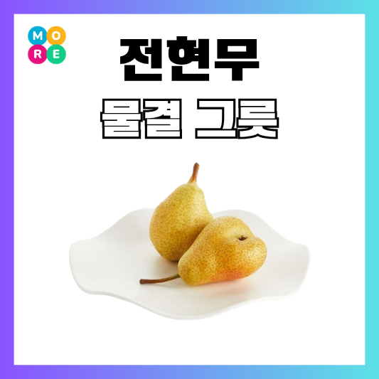  나혼자산다 전현무 물결 그릇 접시 박천휴 집들이선물 추천