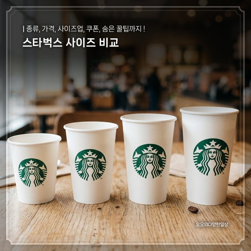스타벅스 사이즈 종류 가격 비교! 사이즈업 쿠폰, 숨은 꿀팁