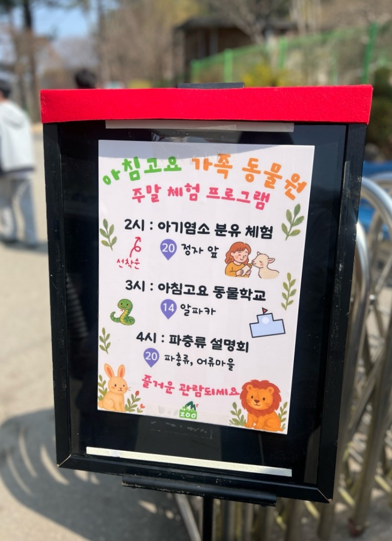 사진 3