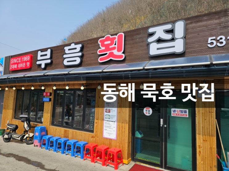  동해 묵호 맛집 부흥횟집 물회 회덮밥 솔직후기