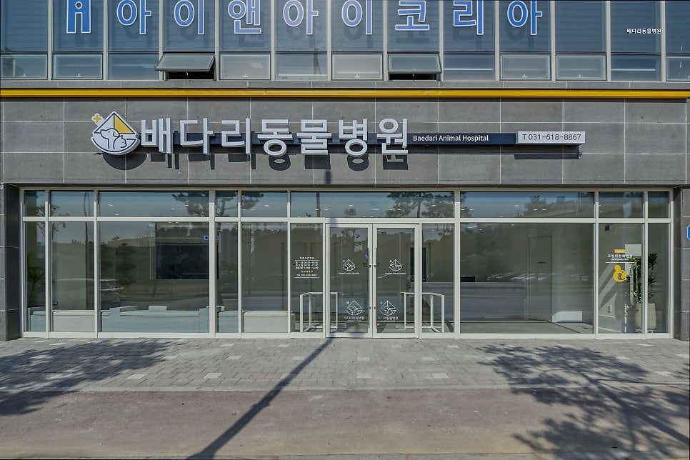 배다리동물병원 사진 2