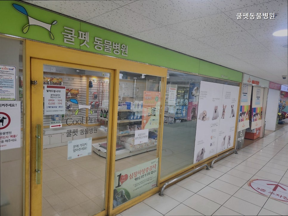 쿨펫동물병원 사진 1