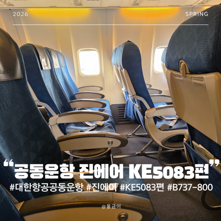  모닝캄 대한항공 공동운항 진에어 B737-800 기내식 사전 좌석 지정 김해 부산-도쿄 나리타 KE5083편