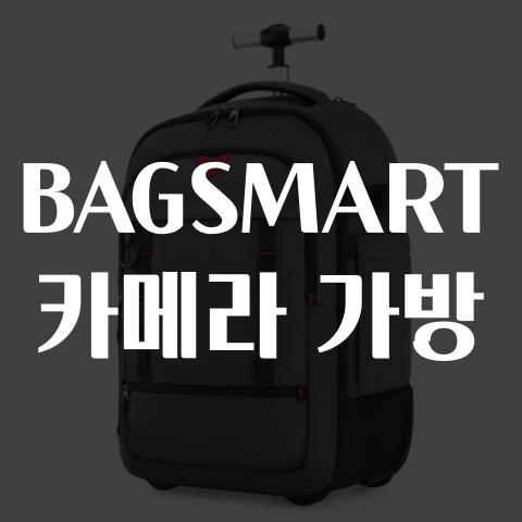 알리익스프레스 BAGSMART 카메라 가방 백팩 세일 4월