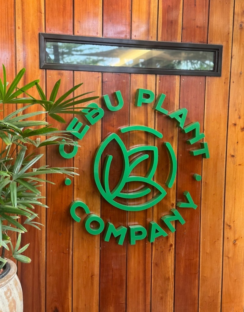 막탄섬 plant cafe 니모브루 (nimo brew) 초록힐링과 커피