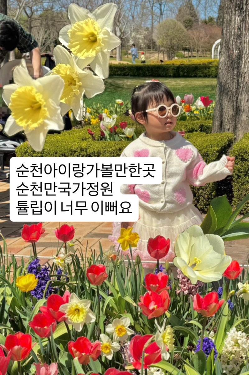 순천만국가정원 튤립 실시간 아이랑 가볼만한곳 입장료 주차 할인 꿀팁