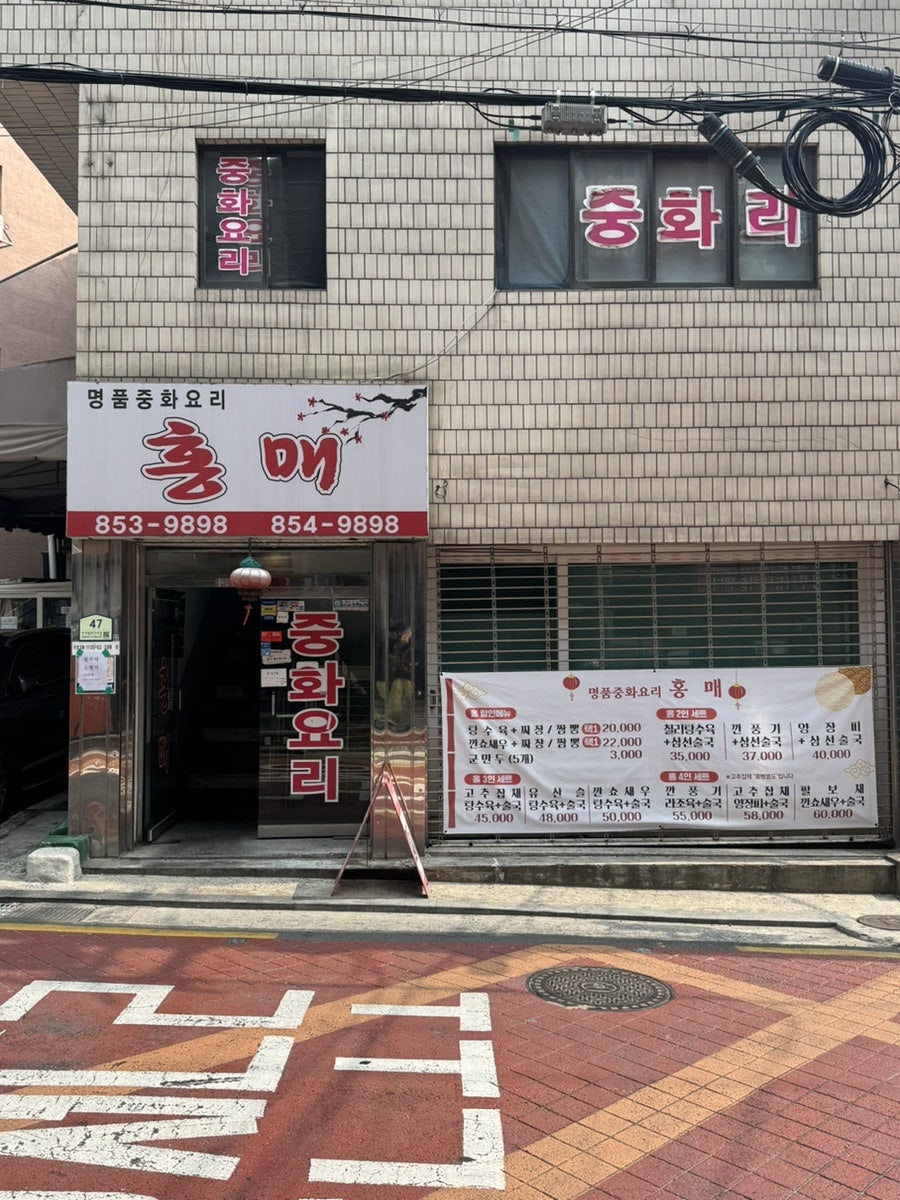 홍매 사진 1
