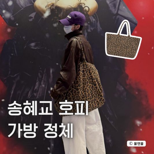  “명품인 줄 알았는데?” 송혜교 10만원대 호피 가방, 가죽 재킷 코디랑 찰떡 조합