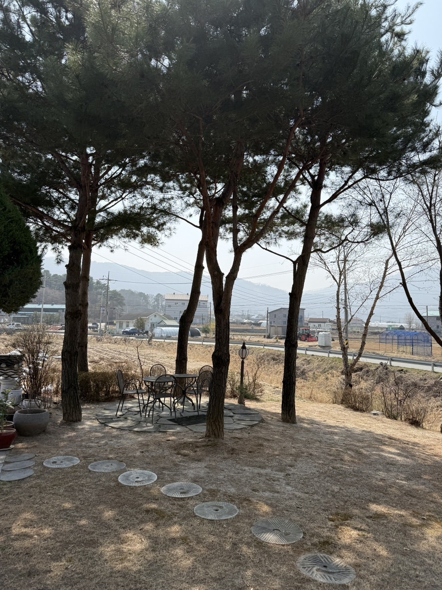 오감재 사진 3