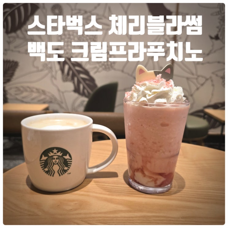  스타벅스 체리블라썸 백도 크림 프라푸치노 내돈내산 솔직후기
