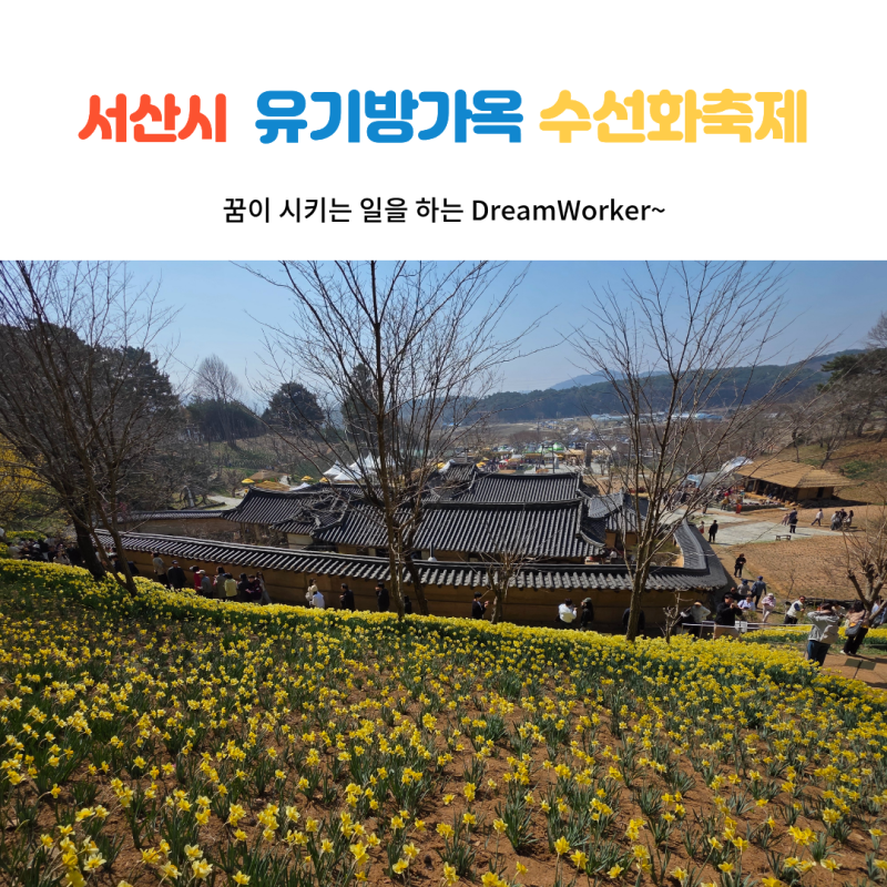 사진 5