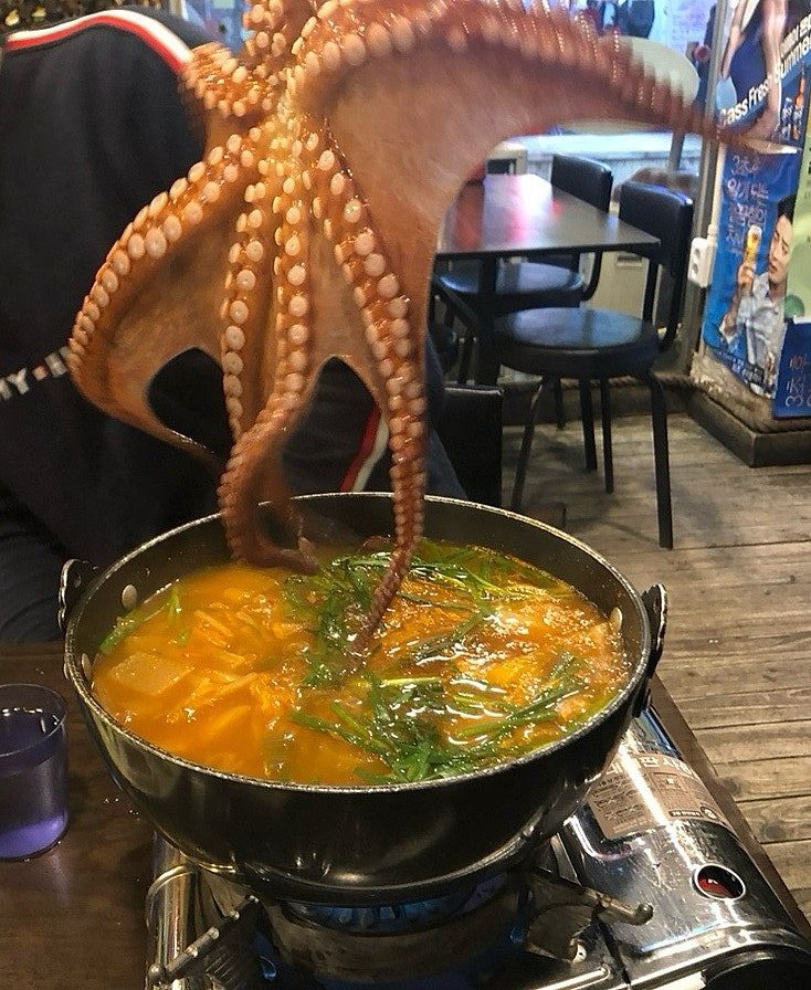 해적캡틴 사진 5