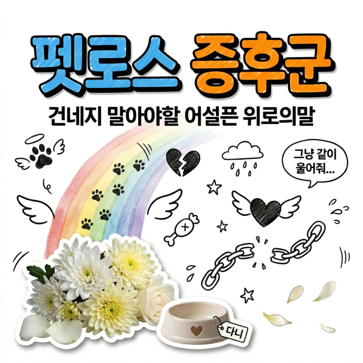  펫로스 증후군 위로 제발 이 말만은 하지 마세요 (절대 금기어 5가지)