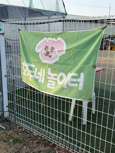사진 6