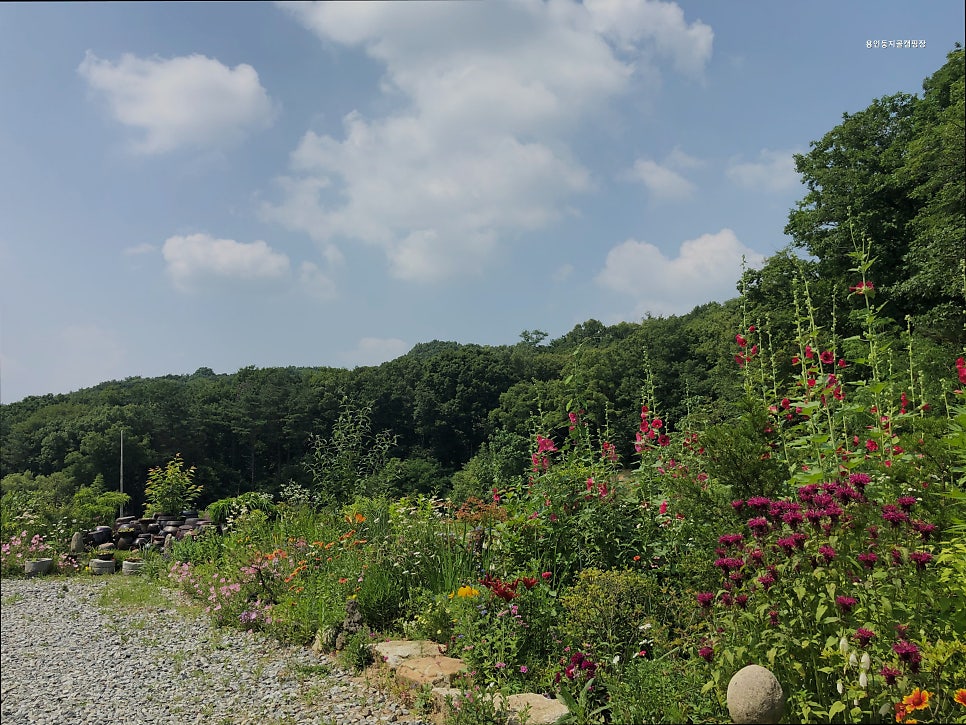 용인 둥지골 캠핑장 사진 5