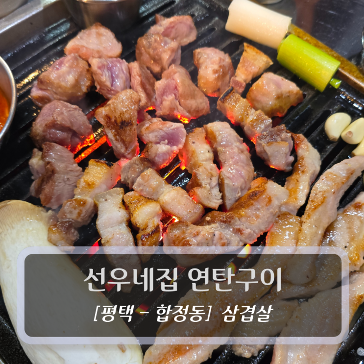  평택 삼겹살 맛집 :: 선우네집 연탄구이 - 삼겹살 목살 항정살 후기