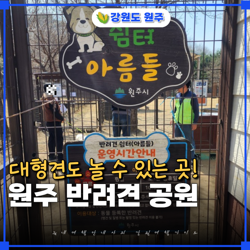 사진 2