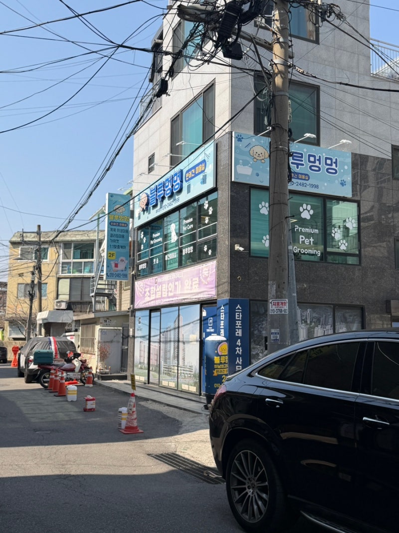 블루멍멍
