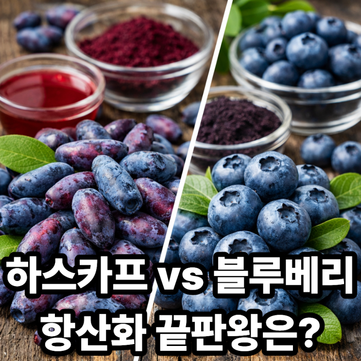  하스카프베리 vs 블루베리, 항산화 비교 분석