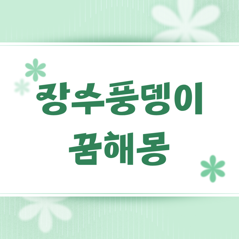장수풍뎅이 나오는 꿈해몽 꿈풀이 의미