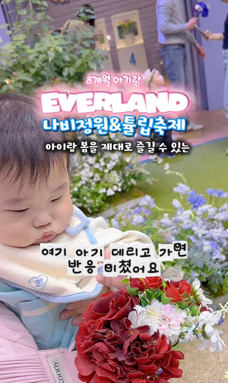  8개월 아기랑 에버랜드 후기 | 주차, 워킹사파리 대기시간, 씨라이언빌리지, 나비정원, 튤립 축제 총정리