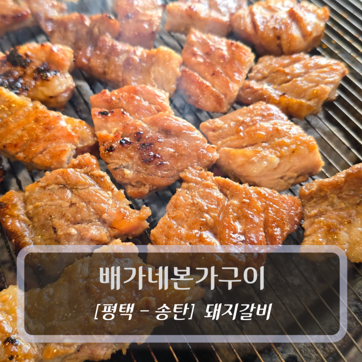 평택 송탄돼지갈비 맛집 :: 배가네본가구이 - 평택 현지인 추천 돼지갈비 맛집