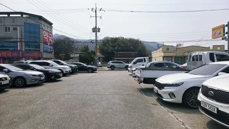 소나무식당 사진 2