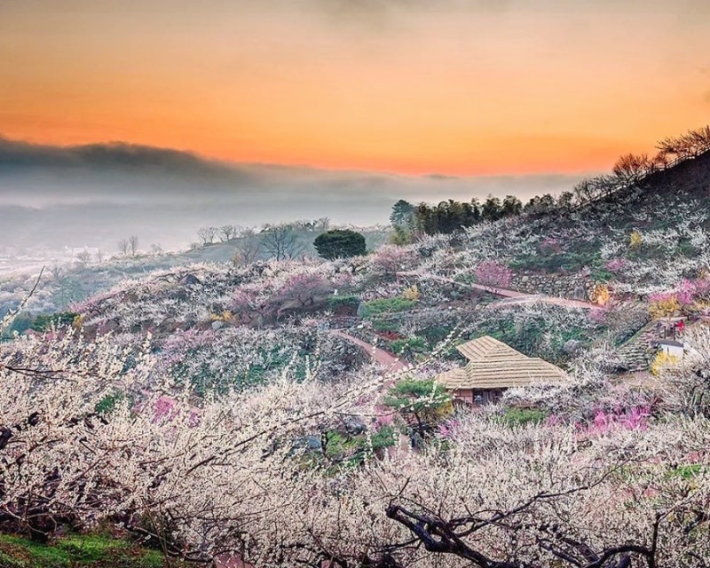 사진 5