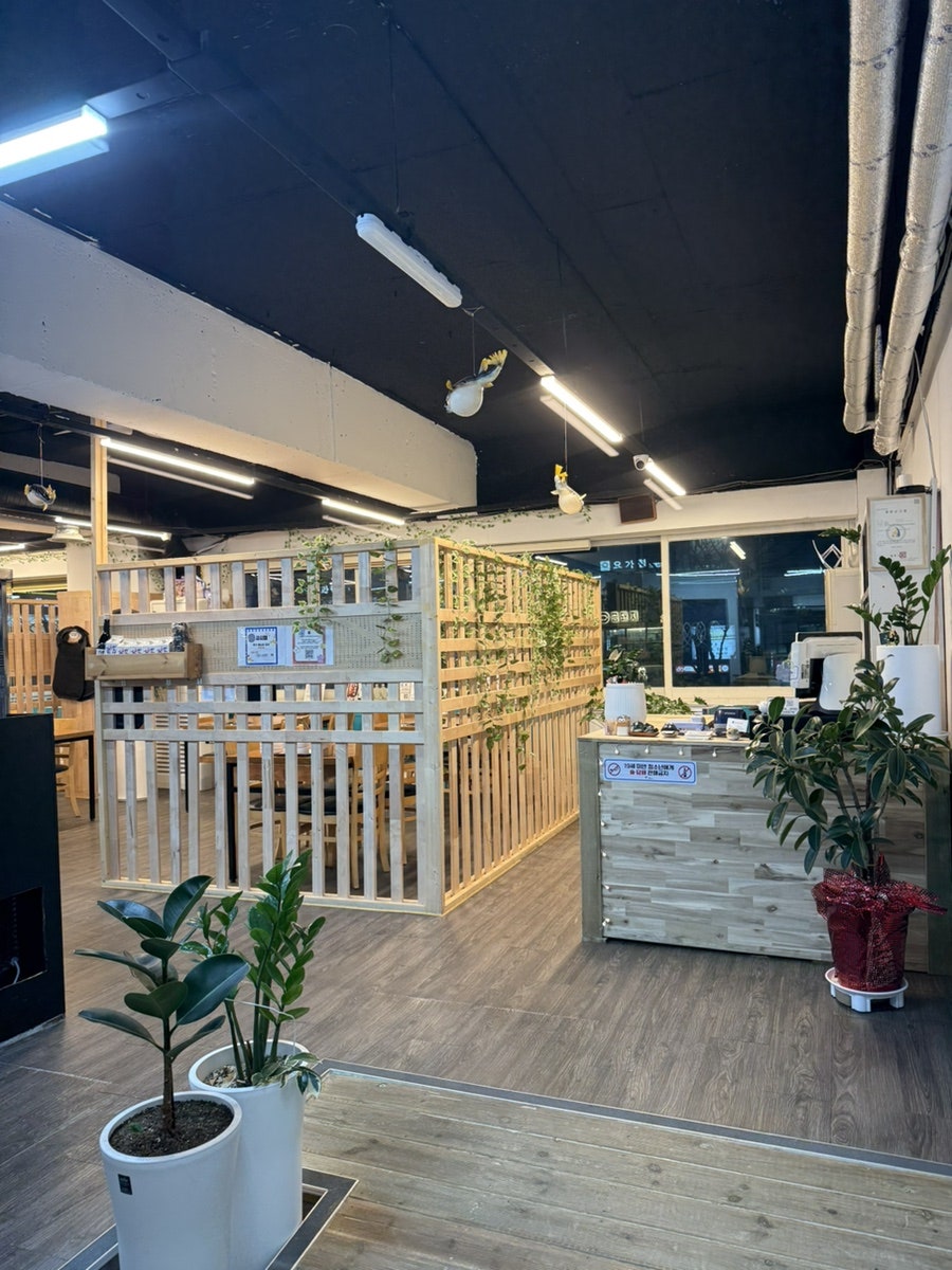 청솔참복 사진 3