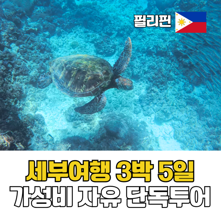  세부여행 3박 5일 일정 가성비 자유 단독투어 후기